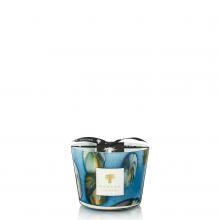 Baobab Collection Tingari Candle - Oceania Collection 