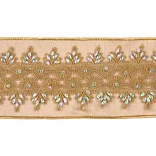 Goodwill Dupion Iridescent Embroidered Trim Ribbon 