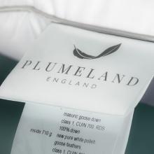 Plumeland The Plumeland Countess MEDIUM Pillow