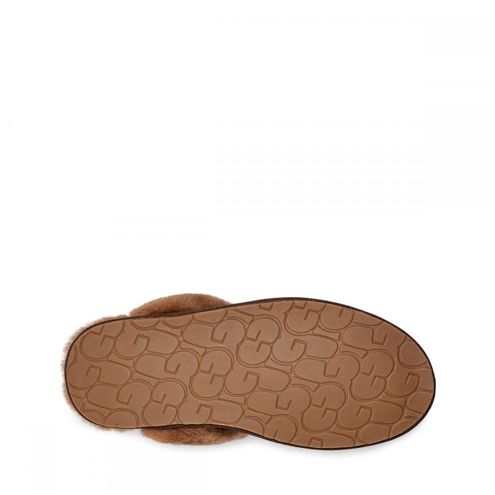 Ugg tasmina best sale flip flops