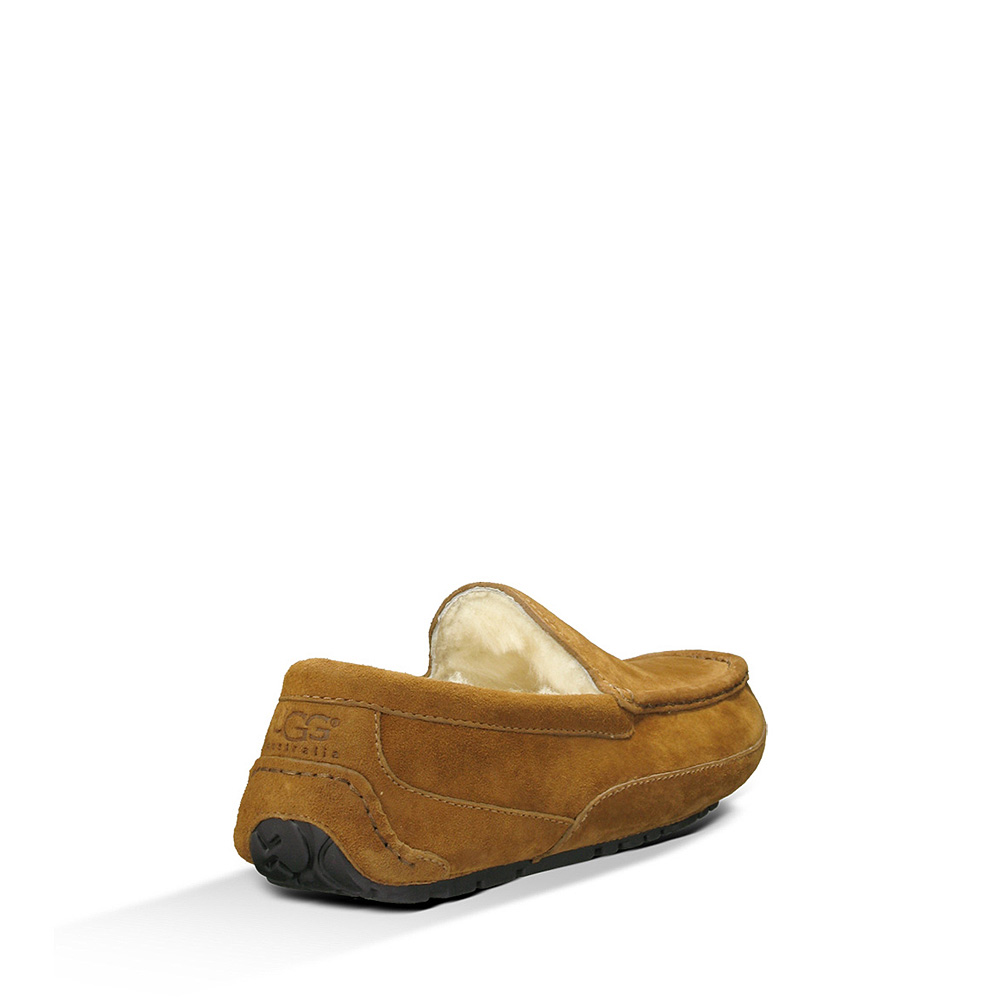 Ugg ascot chestnut outlet mens