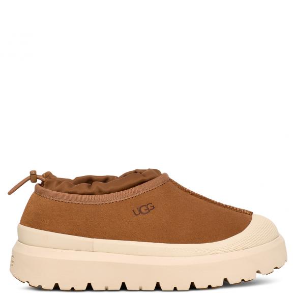 UGG M Tasman Weather Hybrid Chestnut / Whitecap