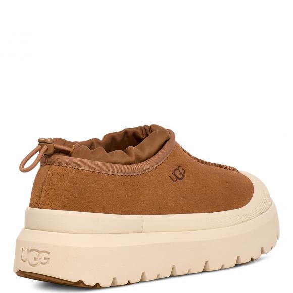 UGG M Tasman Weather Hybrid Chestnut / Whitecap