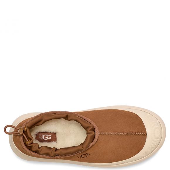 UGG M Tasman Weather Hybrid Chestnut / Whitecap